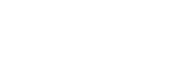 Taxi / Limousine